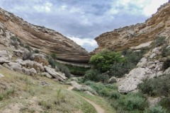 каньон Тамшалы
